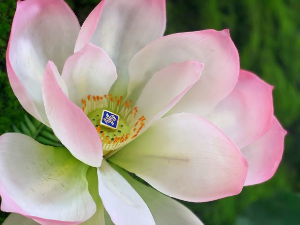 廉由“心”生-通号中心-熊豪-108151-18749408180.jpg 廉由“心”生-通号中心-熊豪-108151-18749408180.jpg